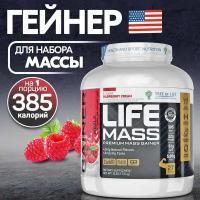 Tree of Life Life Mass Premium Mass Gainer 2730 гр (малиновое мороженое)