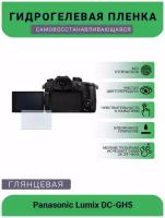 Защитная глянцевая гидрогелевая плёнка на камеру Panasonic Lumix DC-GH5