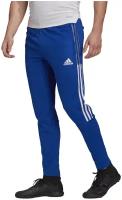 Брюки Adidas TIRO21 TR PNT ROYBLU GJ9870