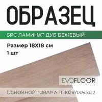 SPC ламинат Evofloor Home - Oak Beige (Дуб Бежевый) - образец