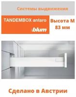 Система выдвижения ящиков TANDEMBOX antaro BLUM, высота М (83 мм); система выдвижения Блюм на ящик, длиной 500 мм