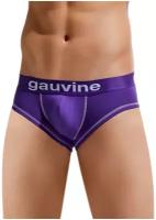 Мужские трусы брифы фиолетовые GAUVINE 3023 L (48)