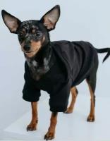 Кофта - толстовка для мелких пород собак "BRO Style", цвет черный, р XL (на флисе) обхват груди 48 см, обхват шеи 40 см, длина по спинке 36 см