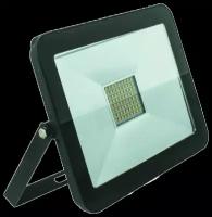 Прожектор светодиодный FOTON LIGHTING FL-LED Light-PAD 30W Black 2700К