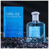 Туалетная вода мужская Colour ssncs Cool Ic, 100 мл 9148597