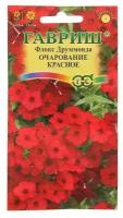 Семена цветов Флокс "Очарование красное", друммонда, О, 0,05 г