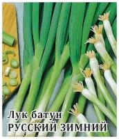 Семена. Лук батун "Русский зимний" (вес: 10,0 г)