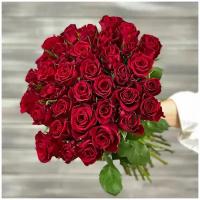 Букет живых цветов из 39 красных роз с лентой 40см