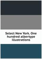 Select New York. One hundred albertype illustrations