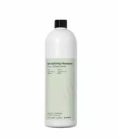 Восстанавливающий шампунь, Farmavita Back Bar Revitalizing Shampoo, 1000 мл