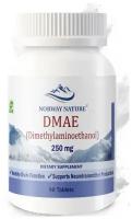 Здоровье мозга и психики Norway Nature DMAE 250 mg (90 таблеток)
