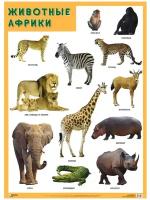Обучающие плакаты для ДОУ. Животные Африки. Мозаика-Синтез
