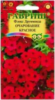 Семена цветов Флокс "Очарование красное", друммонда, О, 0,05 г