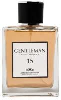 Мужская туалетная вода Parfums Constantine Private Collection Gentleman 15 100 мл