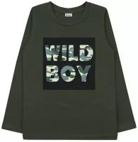 Джемпер лонгслив для мальчика, хаки, Wild Boy 34 (134-140) 8-9 лет