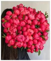 Букет Пионы 51 шт, красивый букет цветов, пионов, шикарный, цветы премиум