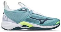 Кроссовки Mizuno Wave Momentum 2, волейбольные