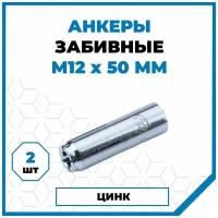 Анкеры Стройметиз забивные стальные 12х50, сталь, покрытие - цинк, 2 шт