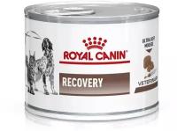 Влажный корм для собак и кошек Royal Canin Recovery в период восстановления после операции 2шт. х 195 г
