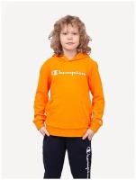 Hooded Sweatshirt, толстовка, (BTC) синий, XXS