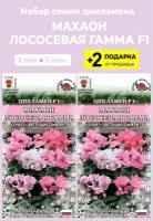 Семена Цикламен Махаон "Лососевая гамма", 2 упаковки + 2 Подарка