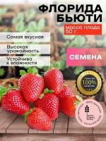 Семена клубники Флорида Бьюти посадочный материал