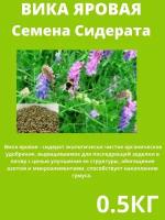 Вика Яровая, семена сидерат 0.5 кг