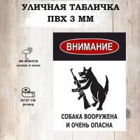 Табличка уличная "Осторожно злая собака" для интерьера, информационная