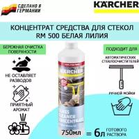 Концентрат для мойки стекол Karcher RM 500 Glass Cleaner Limited Edition 6.296-170