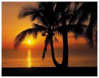 Фотообои Komar 8-255 Palmy Beach Sunrise 3,68*2,54 см