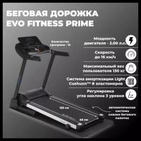 Беговая дорожка Evo Fitness Prime, черный