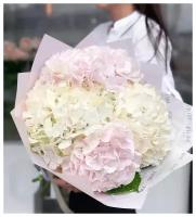 Букет Гортензия ассорти, красивый букет цветов, шикарный букет, цветы премиум