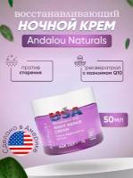 Andalou Naturals, Ночной восстанавливающий крем, Ресвератрол Q10, против старения, 50 мл