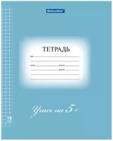 Тетрадь Brauberg 18 листов, клетка, 5-КА синяя, обложка мелованный картон, блок офсет, Эко (402988)