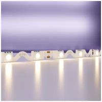 Maytoni Светодиодная лента 24В Maytoni Led strip 20044