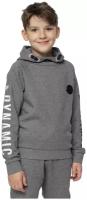 Толстовка/4F/HJZ21-JBLM006A-23M/BOY'S SWEATSHIRTS/серый/140