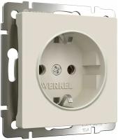 Розетка с заземлением Werkel W1171062 айвори матовый IP20