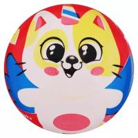 Мяч детский ZABIAKA «Котик», d=22 см, 60 г, цвета микс