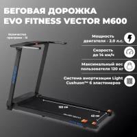 Беговая дорожка Evo Fitness Vector M600