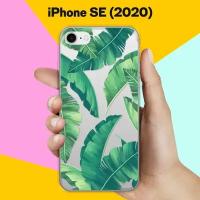 Силиконовый чехол Пальма на Apple iPhone SE (2020)