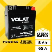 Аккумулятор для мотоцикла 12в 5 Ah 65 A обратная полярность VOLAT YB5L-BS (MF) акб 12v AGM для мопеда, скутера, квадроцикла 119x60x129