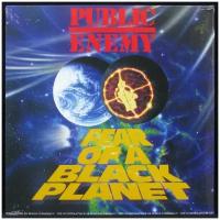 Виниловая пластинка Def Jam Public Enemy – Fear Of A Black Planet