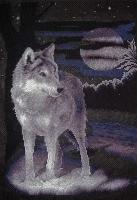 Набор для вышивания крестом "Белый волк" Ж-0462, 24х36 см, Panna
