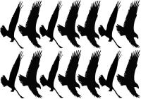 Наклейки стикеры, силуэты хищных птиц вариант 12 (размер А2)