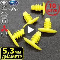 Автомобильные клипсы пистоны для уплотнителей двери,багажника Honda,Acura,Toyota,Универсальный в наборе 10шт