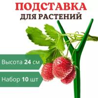 Благодатный мир Подставка для клубники h 24 см, 10 шт