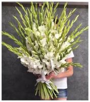 Букет Гладиолусы, красивый букет цветов, шикарный, цветы премиум