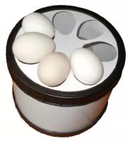 Овоскоп ОВ-6 пластик (большой на 6 кур. яиц, 3 лампочки)