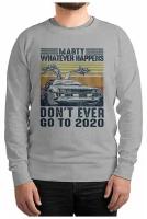 Свитшот DS Apparel Назад в Будущее - Back To The Future Мужской Серый 46