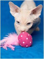 Игрушка для кошек и котят Japan Premium Pet мяч с натуральными перьями и кошачьей мятой